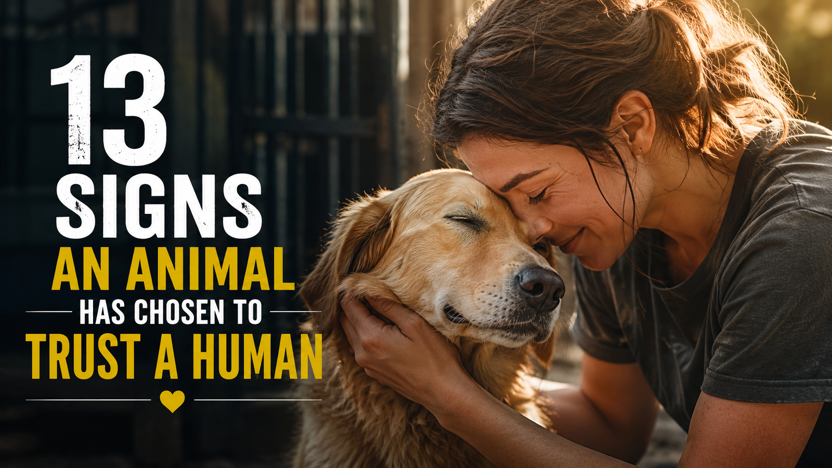 13 Signs an Animal Has Chosen to Trust a Human
