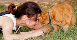 Why Cats Headbutt Their Humans and What They’re Trying to Say